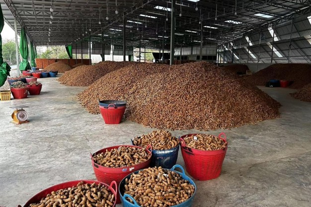 The Rising Demand for Tamarind in Global Markets
