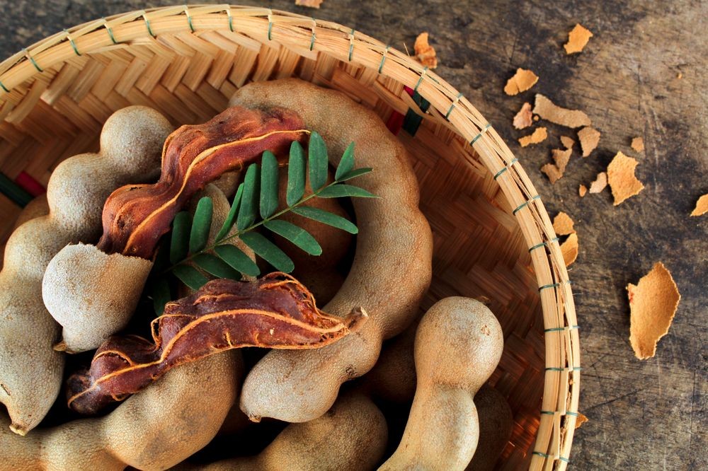 The Importance of Quality Control in Tamarind Processing